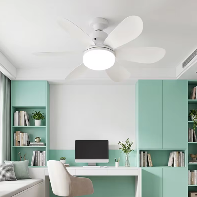 2026 Neuer E26/E27 Schraubsock – Ceiling Fan Mount Bewertung und Preis