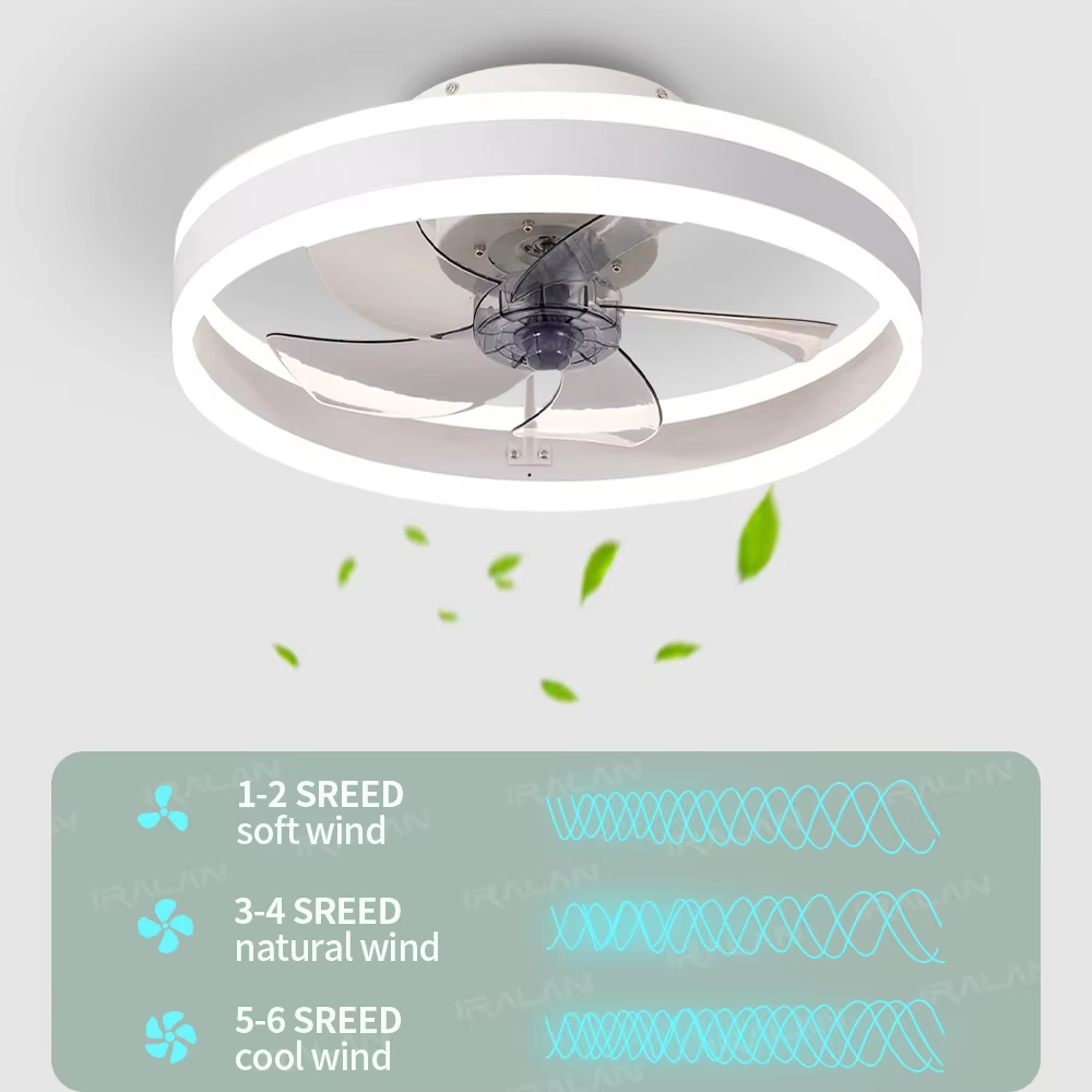 Intelligenter Deckenventilator – Ceiling Fan Mount Bewertung und Preis